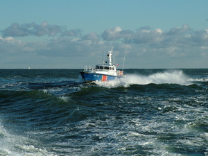 Fot. A. Ciejpa 