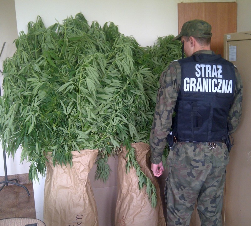 fot. Morski Oddział SG (1)