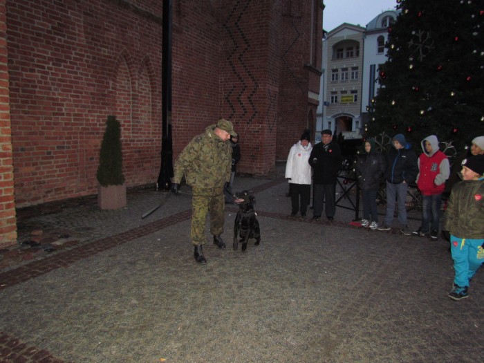 Fot. Placówka SG w Elblągu