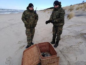 Fot. Jan Wilkanowski/Błękitny Patrol WWF 