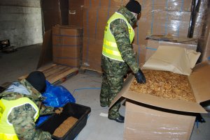Fot. MOSG Funkcjonariusze SG w krajalni tytoniu, w tle widoczne liczne kartony z suszem tytoniowym.