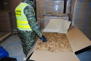 Fot. MOSG Funkcjonariusze SG w krajalni tytoniu, w tle widoczne liczne kartony z suszem tytoniowym.