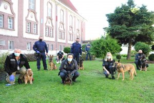 Fot. Piotr Szymański-Sztym/SW Przewodnicy z psami służbowymi