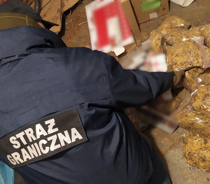 Funkcjonariusz SG przeszukuje garaż z papierosami i krajanką tytoniową Funkcjonariusz SG przeszukuje garaż z papierosami i krajanką tytoniową