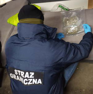 Funkcjonariusz zabezpiecza ujawnione narkotyki Funkcjonariusz zabezpiecza ujawnione narkotyki