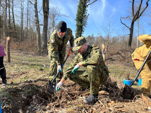 Funkcjonariusze SG sadzą dęby. Fot. MOSG Funkcjonariusze SG sadzą dęby. Fot. MOSG