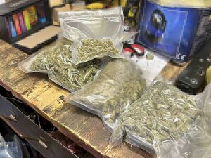 Zabezpieczona marihuana Zabezpieczona marihuana
