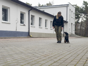 Szkolenie psów służbowych. Fot. Piotr Kurasz Szkolenie psów służbowych. Fot. Piotr Kurasz