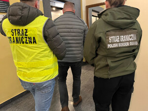 Sklejka objęta embargo trafiała do Polski. Fot. MOSG Sklejka objęta embargo trafiała do Polski. Fot. MOSG