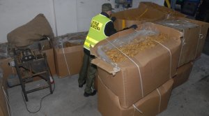 fot. Morski Oddział SG 