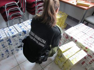 Fot. PSG w Elblągu 
